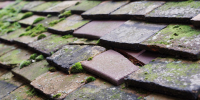 Bishops Stortford roof repair costs